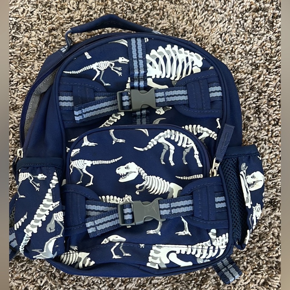 Pottery Barn Kids backpack- mini